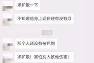 广东财经爆料事件最新,揭秘最新金融乱象背后的真相