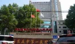 石家庄医院爆料最新消息,疫情形势及防控措施再升级