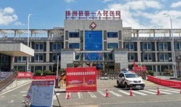 今日株洲最新爆料,揭秘城市新动态与神秘事件