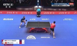 国乒男队爆料视频最新版,备战奥运背后的艰辛与荣耀