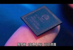 俄媒爆料中国芯片最新消息,俄媒曝神秘进展引发全球关注