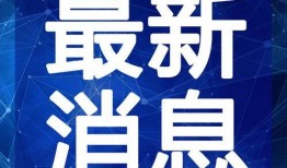 金诚茶庄爆料视频最新,揭秘茶叶市场背后的惊人真相！