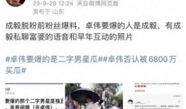 卓伟最新的爆料成毅,成毅新恋情曝光，神秘女友身份引热议
