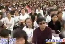 最新爆料集合视频大全,视频大全背后的惊人真相