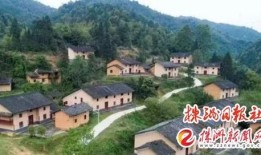 茶陵爆料最新新闻,最新民生焦点事件追踪