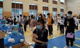 中单小学爆料事件最新消息,最新进展及影响揭秘